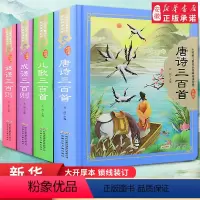 唐诗三百首4册 全彩注音(硬壳精装) [正版]西游记 原著儿童版四大名著珍藏版 小树苗儿童成长经典阅读宝库 精装硬壳彩图
