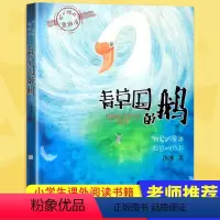 [正版]青草国的鹅 不一样的童话 汤汤著学校老师 阅读6-7-9-12-15岁四五六年级课外书 小学生三年级课外阅读书