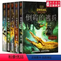 [正版] 动物特战队全套5册 沈石溪原创奇幻动物小说系列全集 8-10-12岁二三四五六年级小学生课外阅读书籍少 文学