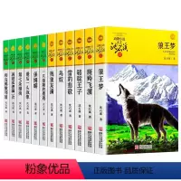 [正版]沈石溪动物小说全集全套12册品藏书系列 狼王梦斑羚飞渡第七条猎狗 后一头战象四五六年级 文学小说 10-12-