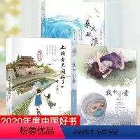 [正版]2020年度中国好书 乘风破浪的男孩+我和小素+土狗老黑闯祸了中国好书经典儿童文学 小学生青少年课外书学校 儿