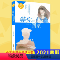 [正版]2023年暑假读一本好书 等你回家 吴州星著 小学生课外阅读书籍学校老师 小学 课外书经典文学书安徽少年 出版