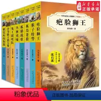 [正版]中外动物小说精品升级版 第三辑全套8册 狼王梦作者沈石溪的书全系列适合六年级的全集12-15岁初中小学生课外阅