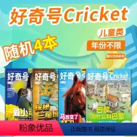[正版]共4本无赠品 有磨损好奇号杂志中文版 不限年份随机美国Cricket Media版权环球科学少儿科普自然历史书