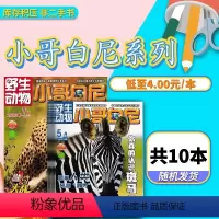 [正版]系列随机共10本小哥白尼杂志军事科学杂志青少年趣味科学动物神奇星球年份随机