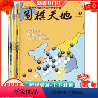 [正版]福袋清仓 共6本围棋天地杂志 随机6本不限年限打包 棋艺技巧名手名局围棋知识书籍期刊