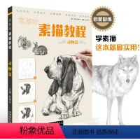 [正版]新书零基础素描教程动物篇 赵锦杰王庆华兴趣学从零起步绘画入门自学入门基础教程美术书籍临摹范本基础教程/安徽美术