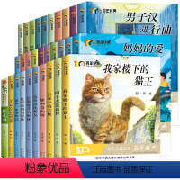 百年经典儿童文学[套装30册] [正版]百年经典儿童文学冰心奖名家名作系列 我家楼下的猫王魔法学校小学生课外书阅读书籍三