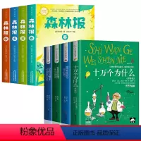 [全8册]森林报+四年级下册必读 [正版]森林报春夏秋冬全四册全集四年级上册必读的课外书适合小学生三四五六年级阅读课外书