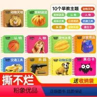 方形启蒙认知早教卡[全20册] [正版]幼儿早教认知卡 撕不烂迷你翻翻卡 全10册盒装 0-3-6岁幼儿宝宝早教启蒙认知