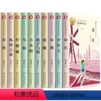 曹文轩儿童文学获奖作品A+B[10册] [正版]曹文轩儿童文学获奖作品全套10册 小学生课外阅读书籍三四五六年级必读的课