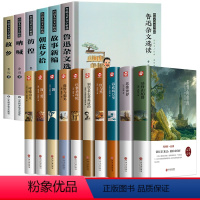 鲁迅精选作品集+十大世界名著[全16册] [正版]鲁迅原著作品全集6册朝花夕拾故乡儿童文学经典必读书读杂文散文集故事新编