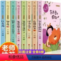 [正版]王一梅飞翔童话系列全套注音版一年级二年级三年级小学生课外书必读老师语文故事书本里的蚂蚁胡萝卜先生的长胡子树贝壳