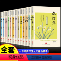 [全13册]沈从文经典作品集 [正版]沈从文著作集原著全13册 边城湘行散记长河春阿金沈从文自传全集老师初高中生课外阅读