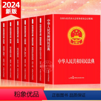 [全7册]中华人民共和国民法典 [正版]民法典全7册2024年版中华人民共和国民法典实用版注释本 第3版 民法典2023