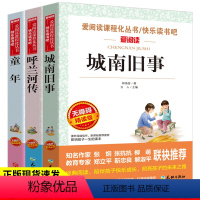 [正版]城南旧事 林海音 5年级原著书籍 呼兰河传萧红童年高尔基 爱阅读儿童文学天地出版社 城南旧事五年级下册小学生课