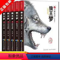 [正版]狼王梦完整版全套 沈石溪动物小说系列全集5册沈石溪的书籍6-12岁小学生四五六年级必读课外阅读书籍儿童文学画本