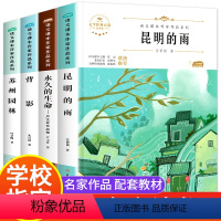 [正版]八年级课外书必读上册名师指导4册初中生文学散文阅读经典书目背影 苏州园林 昆明的雨 的生命初一初二中学生课外阅