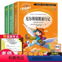 [正版]名师指导六年级下册必读课外书尼尔斯骑鹅旅行记汤姆索亚历险记小学版爱丽丝漫游奇境小学生课外阅读书籍原著完整版