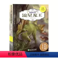[正版]名师指导三四五六年级经典读物 新版沈石溪 动物小说 流星龙王 中小学生课外书儿童书精读系列小学课外必读书籍 全