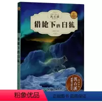 [正版]沈石溪动物小说 猎枪下的白狐 三/四/五/六/年级小学生课外书必读阅读 儿童书精读系列经典读物 小学初中文学