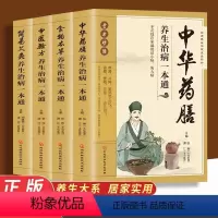 [正版]全套4册中华药膳养生治病一本通本草纲目食物本草中药药膳养生汤 中医食疗 家常菜谱营养餐烹饪美食食谱 家庭健