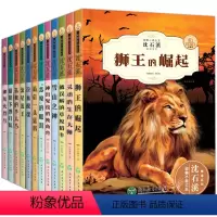 全套12册]沈石溪动物小说系列 [正版]全套5册动物小说大王沈石溪 狼王梦画本 沈石溪珍藏版完整版漫画版小学生三四五六年