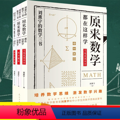 [正版]全3册 原来数学都在这样学 刘薰宇原来数学可以这么有趣味学习中小学生青少年熏雨师范课外阅读书科普百科数学的园