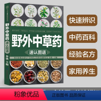 [正版]野外中草药速认图谱 600余幅精美手绘图和清晰实拍图,18大类中草药,更有配伍药方、养生药膳,教你快速辨识、灵