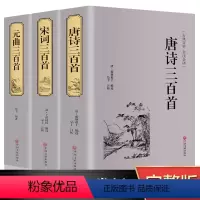 [正版]唐诗宋词元曲三百首原著全集鉴赏书籍 中国古诗词大全集小学生初中生全套国学书籍