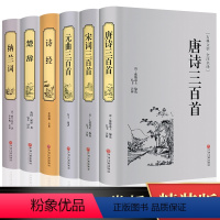 [正版]古诗词大全集全套6册诗集 唐诗三百首+宋词三百首+元曲三百首+楚辞+诗经+纳兰词鉴赏赏析中国诗词大会书籍全注全