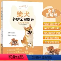 [正版]柴犬养护全程指导 全彩图解柴犬饲养方法养护全程指导宠物狗喂养实用手册新手入门狗狗的日常护理与驯养一本书读懂你的