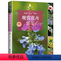 [正版]观赏花卉图鉴 1000种花卉鉴赏图鉴花与花语 184种常见四季花卉手册花语与花图鉴书籍