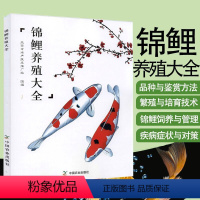 [正版]锦鲤养殖大全 锦鲤饲养殖方法技巧池塘养鱼观赏鱼锦鲤养殖技术大全养殖与鉴赏鲤鱼喂养技巧教程观赏鱼常见疾病防治书籍