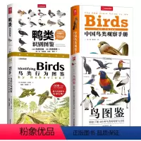 4册 鸟图鉴+中国鸟类观察手册+鸭类识别图鉴+鸟类行为图鉴:野外观鸟大师课 [正版]鸟图鉴全世界130种鸟的彩色图鉴世界