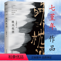 [正版]七堇年的书:晚风枕酒 现当代青春文学情感小说故事集作品书籍被窝是青春的坟墓澜本嫁衣灯下尘平生欢大地之灯