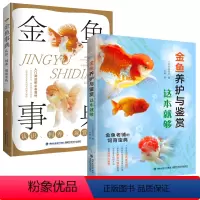 [正版]2册 金鱼养护与鉴赏这本就够+金鱼事典 书籍