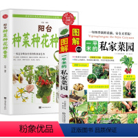 [正版]2册 图解一平米的私家菜园+阳台种菜种花种香草 种植技术新手入门四季养花种花大全家庭养花种菜花卉种植宝典书籍