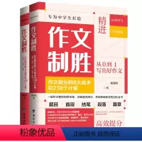 作文制胜:作文提分的8大战术和238个计策 高中通用 [正版]2册作文制胜:作文提分的8大战术和238个计策 虫洞书简