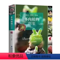 [正版]多肉植物图鉴(观赏辨识种植)常见多肉多浆植物园艺图集零基础养多肉这样养养护完全图鉴书籍