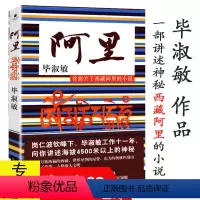 [正版]毕淑敏作品:阿里首部关于西藏阿里的小说//讲述海拔4500米以上的神秘藏传佛教胜地现当代文学书籍无性别的神