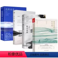[正版]4册 被窝是青春的坟墓+晚风枕酒+平生欢+近在远方 七堇年著 青春文学情感爱情长篇小说书籍