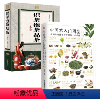 [正版]2册 中国茶入门图鉴+识茶泡茶品茶一本全.彩图全解 喝茶懂茶中国茶文化实用茶学茶艺百科全图鉴功效储藏制作工序茶