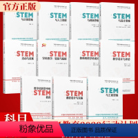 [全11册]中国STEM教育2029行动计划丛书 [正版]STEM与人工智能 中国STEM教育2029行动计划丛书 王素