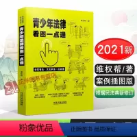[正版]青少年青少年法律看图一点通 案例插图版 全民普法 根据民法典及新修订《刑法》未成年人保护法有趣的青少年法律书籍