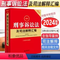 [正版]2024刑事诉讼法及司法解释汇编 含指导案例 2024年版刑诉法司法解释 刑事诉讼规则法条 刑事案件程序规定书