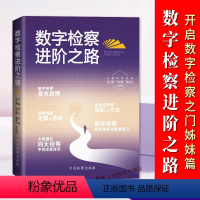 [正版]2024新书 数字检察进阶之路 开启数字检察之门姊妹篇 数字检察应用基本原理指南 张琛 申艳霞 黄星任 中国检