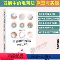 [正版]2024新书 发展中的电商法 原理与实践 姚志伟 法律出版社9787519787479