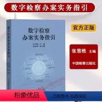 [正版]2024新书 数字检察办案实务指引 张雪樵 数字检察办案实务案例解析 法律监督类案监督诉讼指国检察出版社
