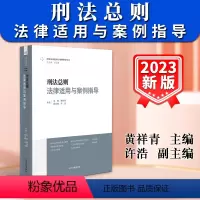[正版]新书2024适用刑法总则法律适用与案例指导 黄祥青 刑事法律适用与案例指导丛书 刑法案件审判实践人民法院出版社